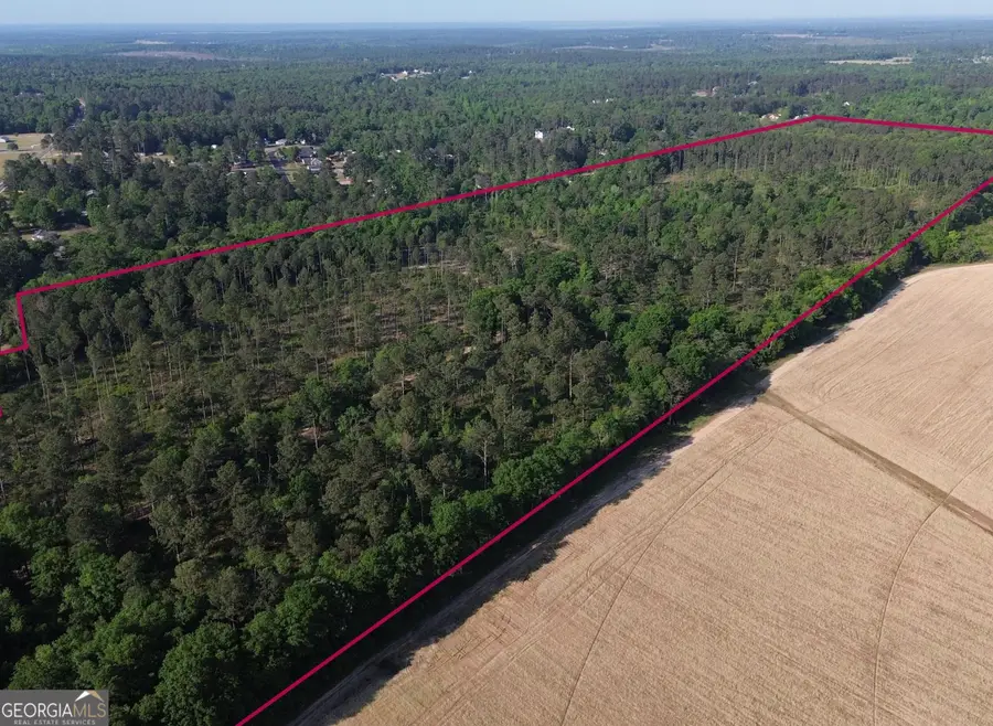 4625 Storey Mill Road, Hephzibah, GA 30815 - #3