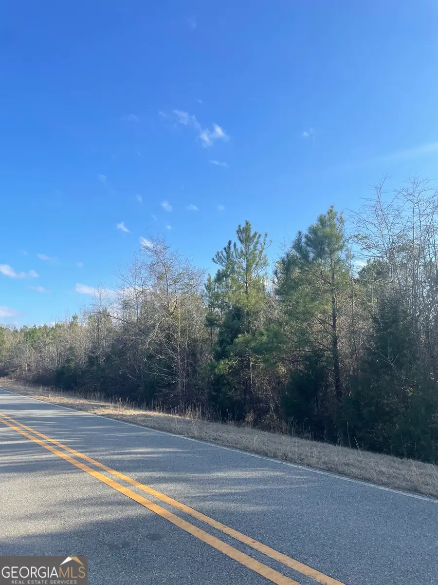 000000 Rock Springs Road, Dublin, GA 31021 - #2