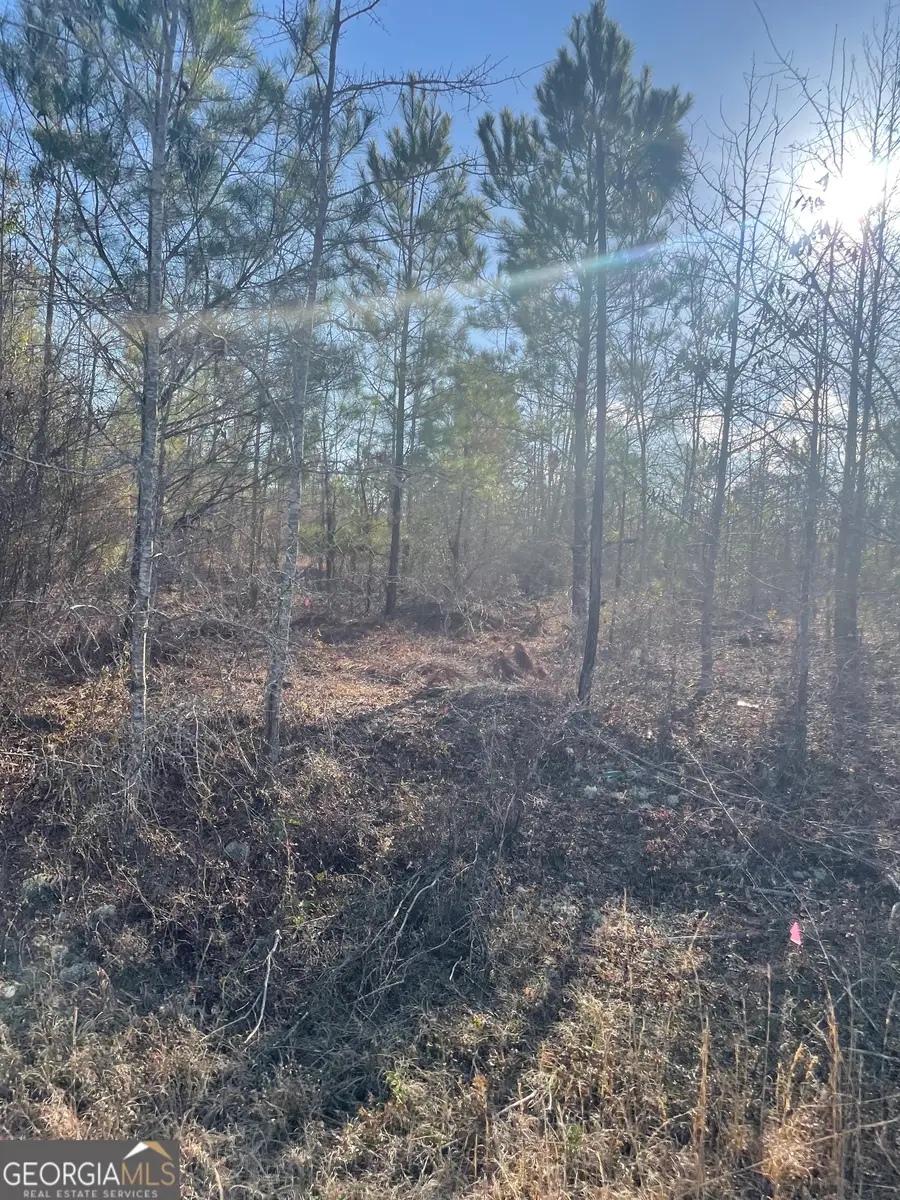 000000 Rock Springs Road, Dublin, GA 31021 - #3