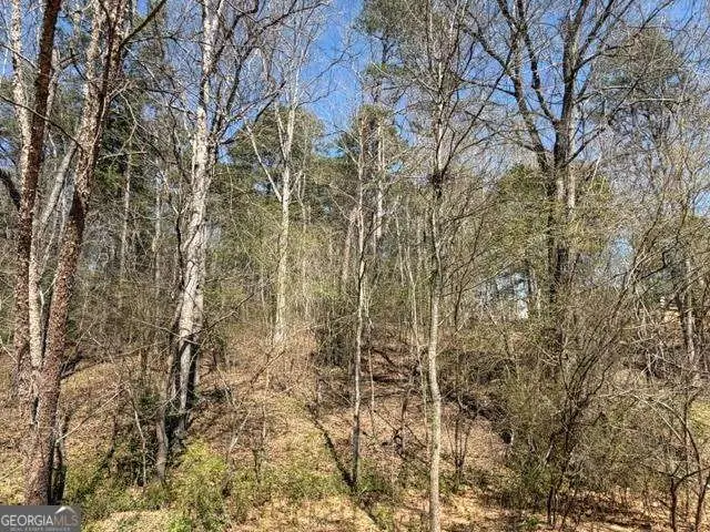LOT 0 Jack Pittman Road, Dacula, GA 30019 - #1