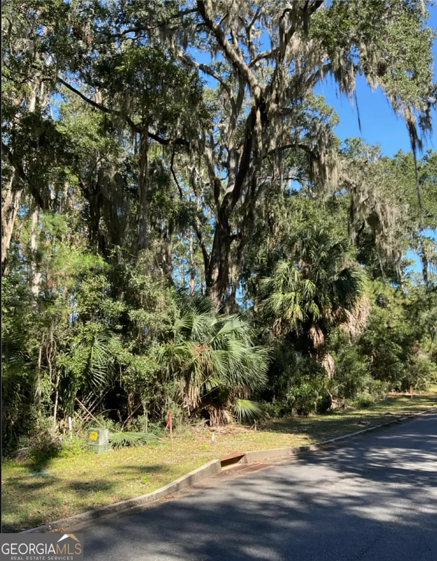 0 V/L 1028 Becket Road, Saint Marys, GA 31558 - #2
