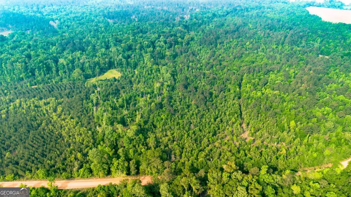 0 Fields Farm Road, Millen, GA 30442 - #1