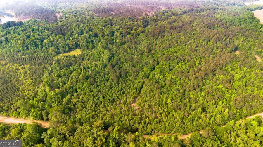 0 Fields Farm Road, Millen, GA 30442 - #3