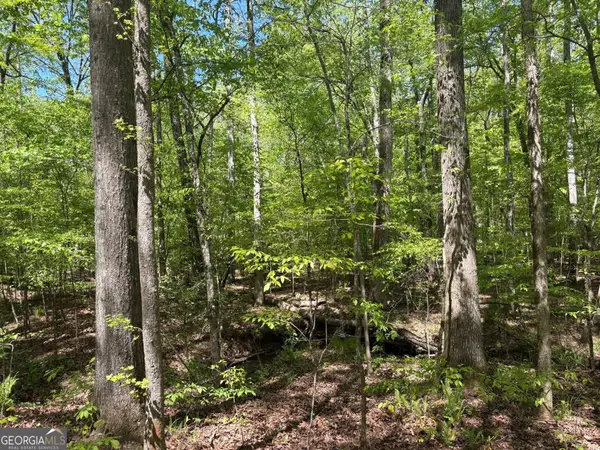 0 Off North Taylor Road, Woodland, GA 31836