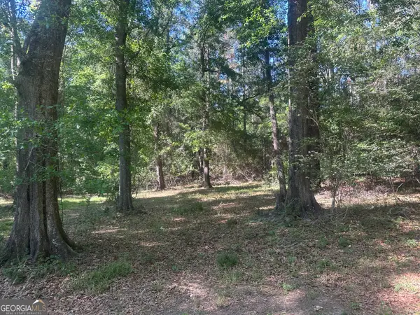 300 Country Club Road Lot 5 Highway #LOT 5, Sylvania, GA 30467