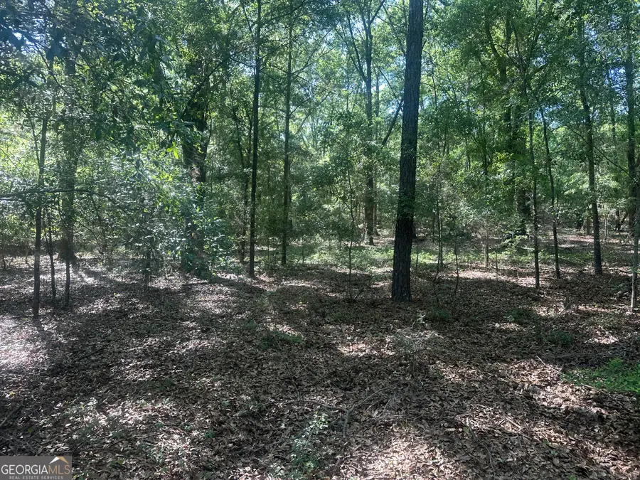 300 Country Club Road Lot 5 Highway #LOT 5, Sylvania, GA 30467 - #3