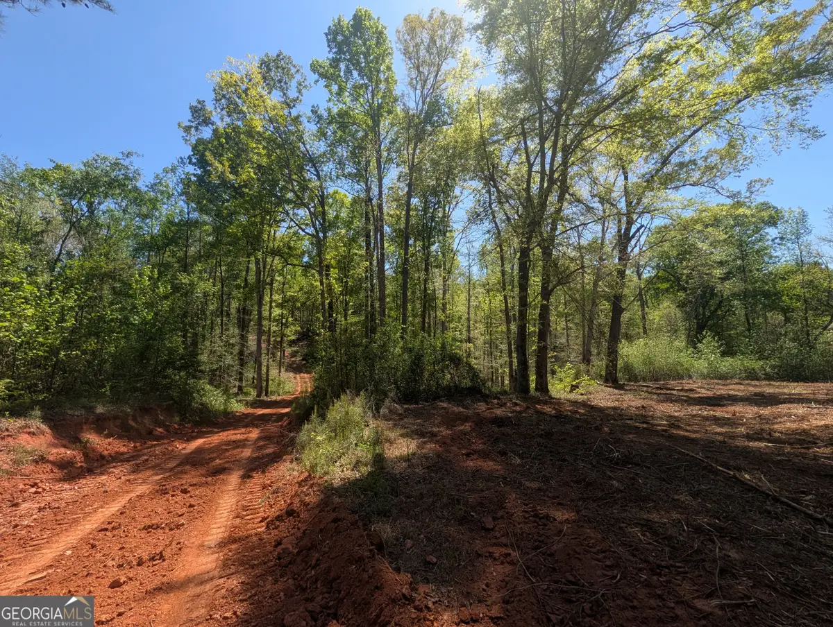34 Magnum Lane, Pendergrass, GA 30567 - #1