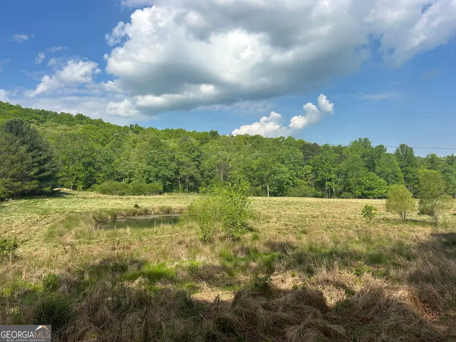 10 AC Pleasant Valley Lane, Blairsville, GA 30512 - #2