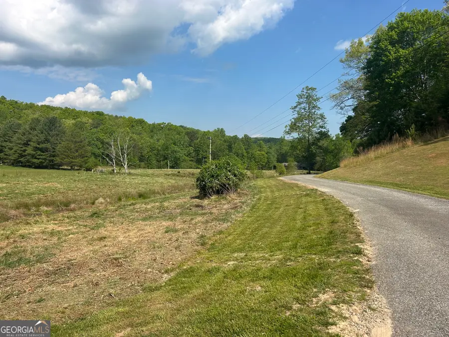 10 AC Pleasant Valley Lane, Blairsville, GA 30512 - #3
