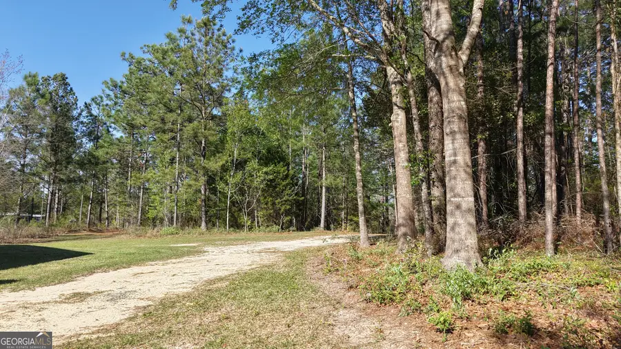 2.0 ACRES St Mark Road, Dublin, GA 31021 - #3