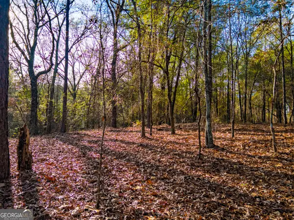 0 Roberta Highway, Butler, GA 31006