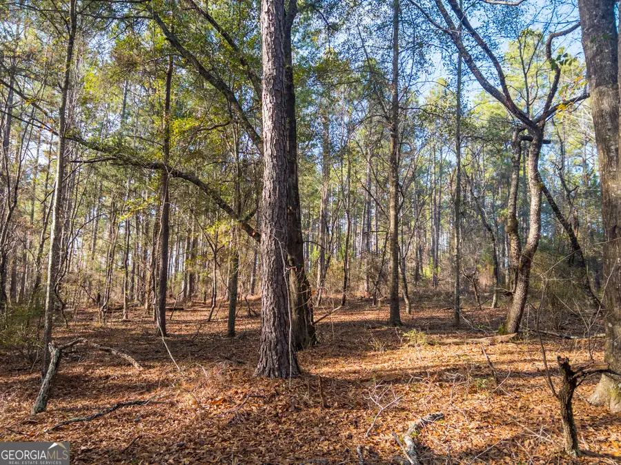 0 Roberta Highway, Butler, GA 31006 - #2