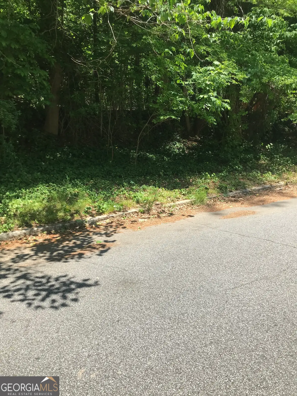 0 Wells Drive Sw, Atlanta, GA 30311 - #1