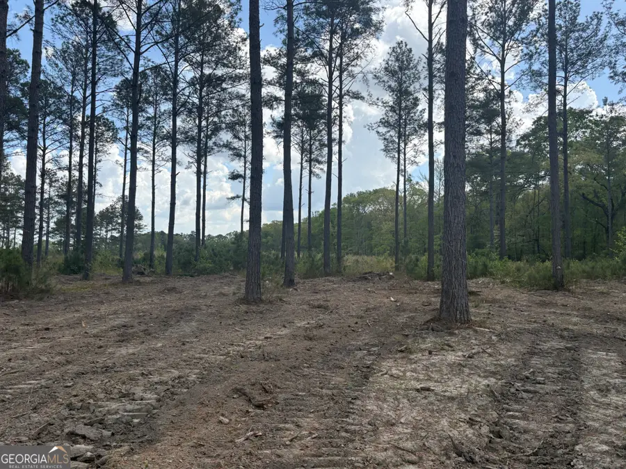 T1 Dc Hardie Road, Gordon, GA 31031 - #2