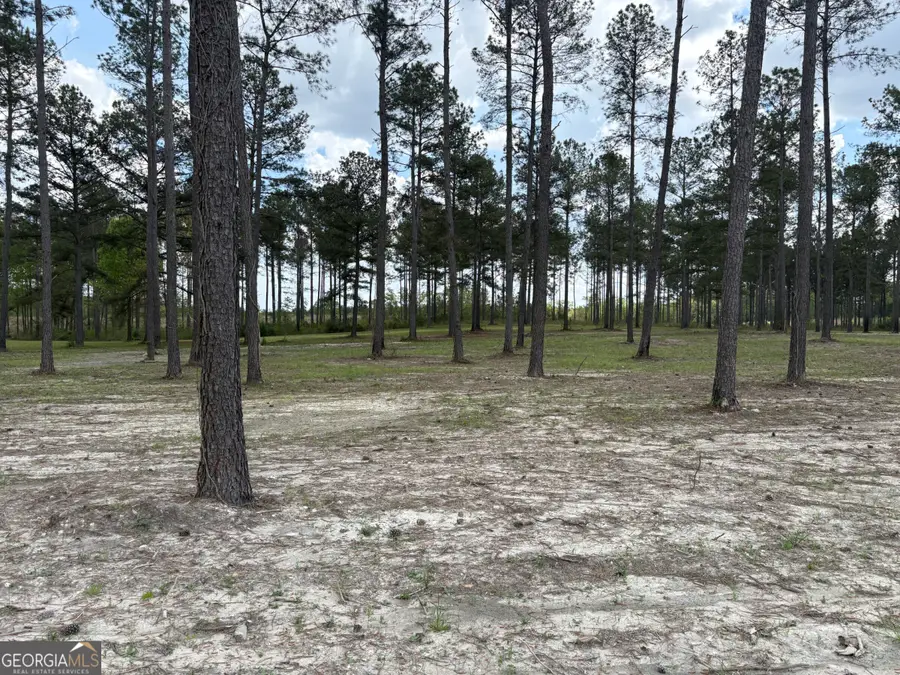 T4 Dc Hardie Road, Gordon, GA 31031 - #3