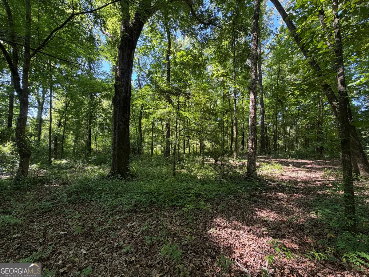 1.49 ACRES Ann Drive, Lizella, GA 31052 - #1