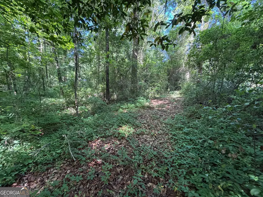 1.49 ACRES Ann Drive, Lizella, GA 31052 - #3