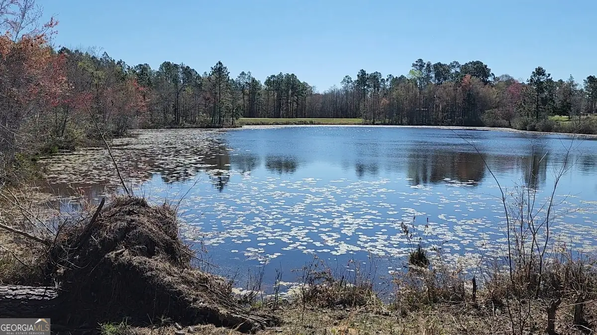 0 Marvin Church Road, Lyons, GA 30436 - #1