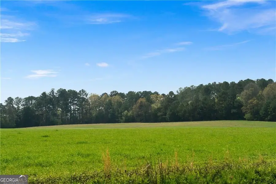 0 Taylorsville Macedonia Rd. Road, Taylorsville, GA 30178 - #2