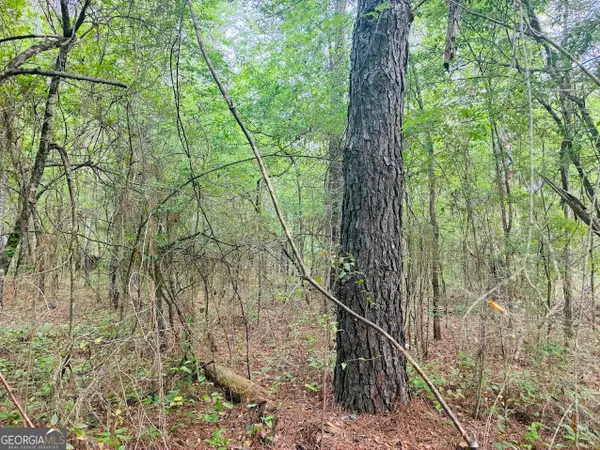 0 Wall Street #TRACT A, Tallassee, AL 36078