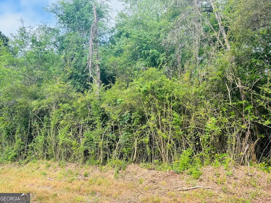 0 Wall Street #TRACT A, Tallassee, AL 36078 - #3