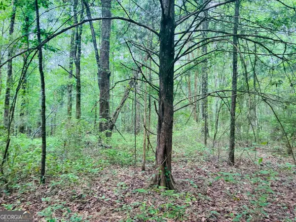 0 Wall Street #TRACT B, Tallassee, AL 36078