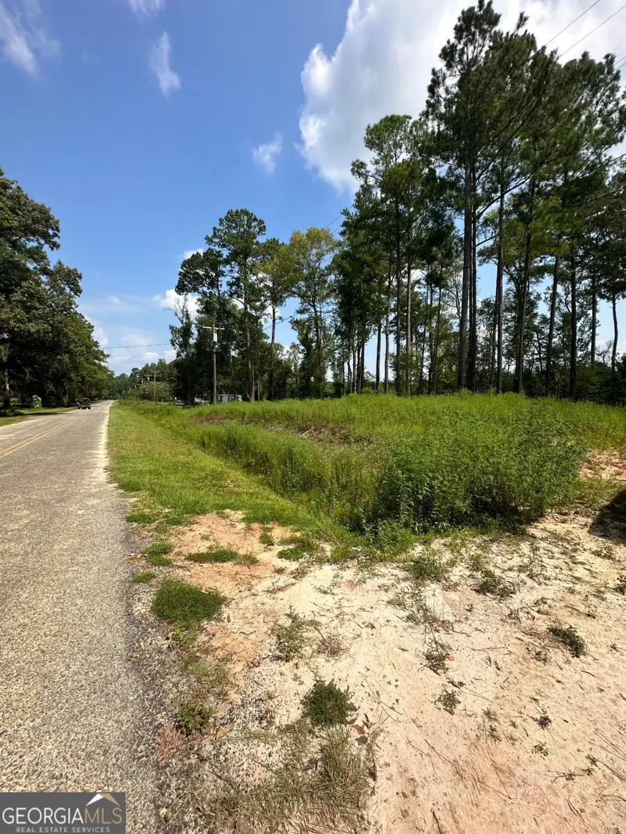 0 Dead River Rd Lots #25, 26, 27, 32, Uvalda, GA 30473 - #2