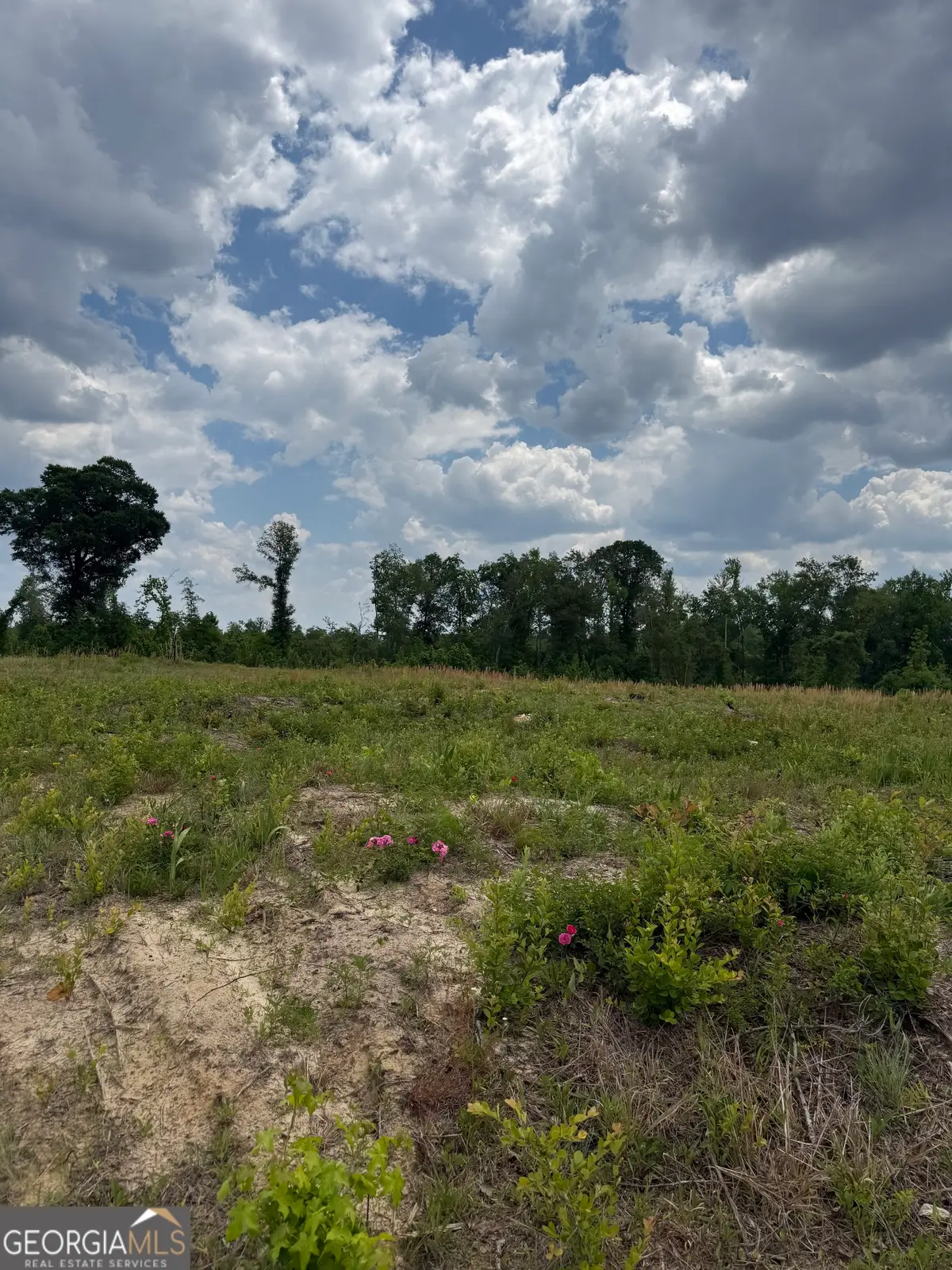 0 J D Williams Road, Cadwell, GA 31009 - #1