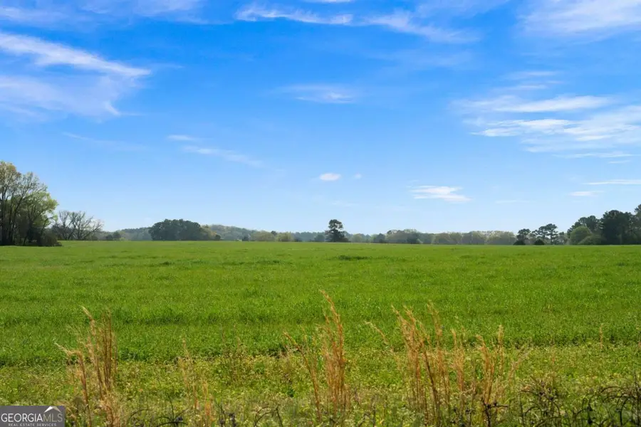 0 Miller Farm - Tract 2 Road, Taylorsville, GA 30178 - #2