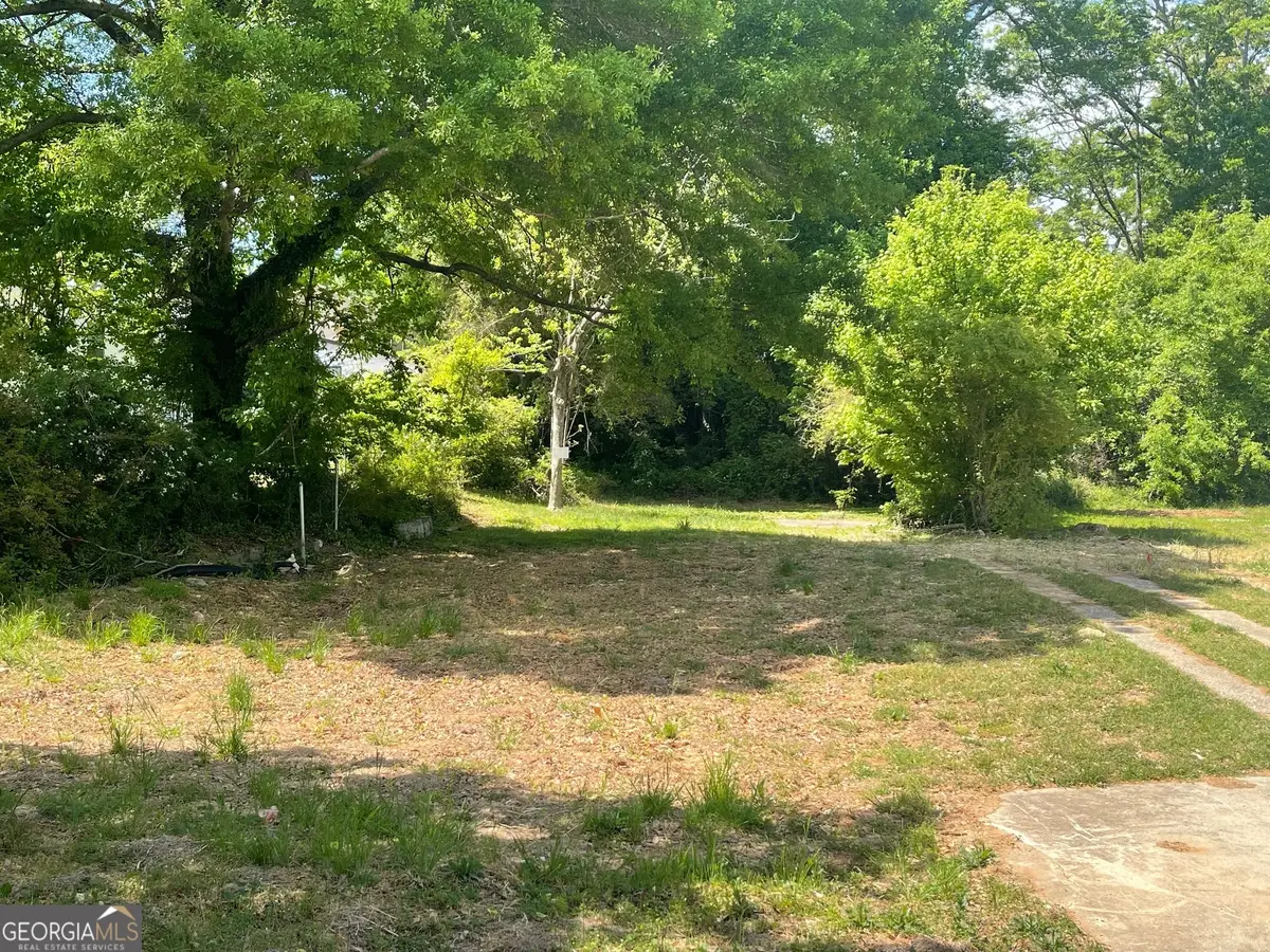 169 W Park Street, Buford, GA 30518 - #1
