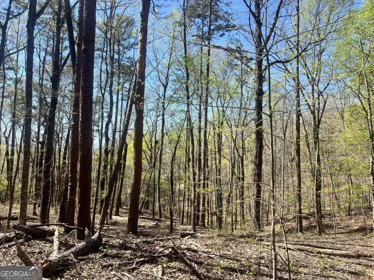 LOT 93 Doll Mountain Road, Ellijay, GA 30540 - #1