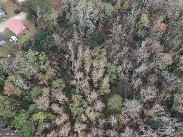 0 Washington Street, Sardis, GA 30456 - #3