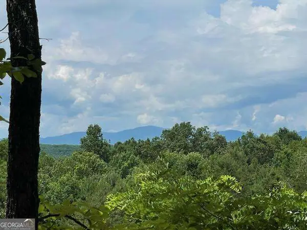 36.78 AC Old Hwy 76, Morganton, GA 30560