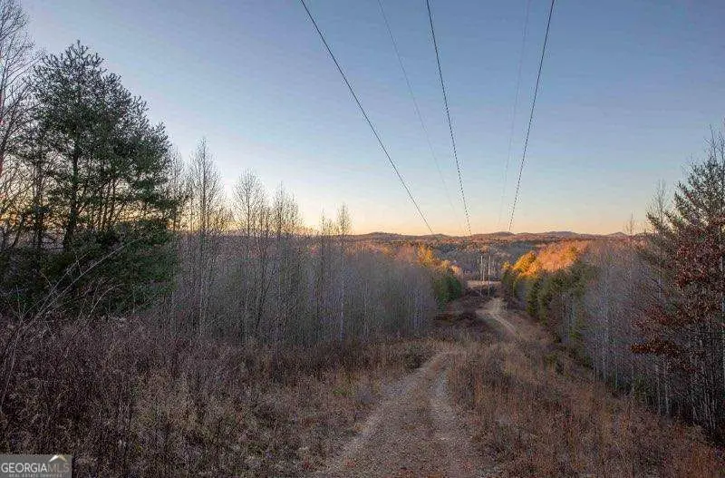 19.25 AC Old Hwy 76, Morganton, GA 30560 - #3