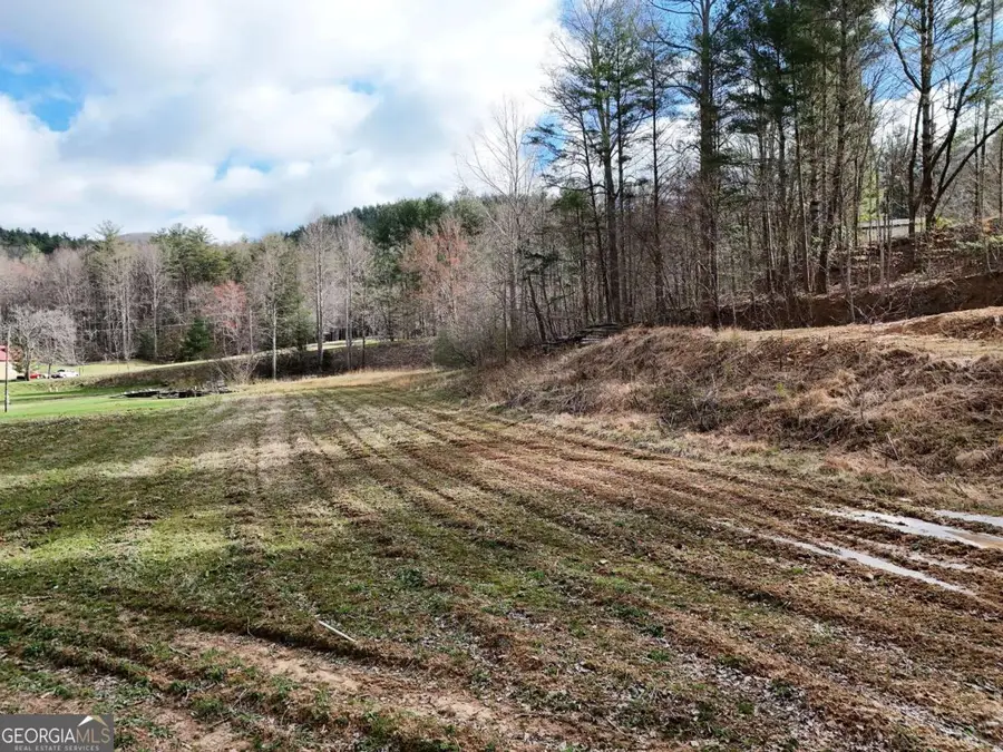 TRACT 3 Whippoorwill Way, Blairsville, GA 30512 - #3