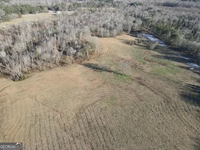 LOT 1 Caldwell, Zebulon, GA 30295 - #3