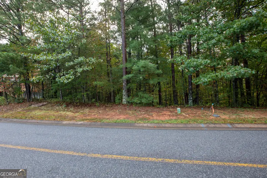 0 Zeppelin Strasse, Helen, GA 30545 - #3