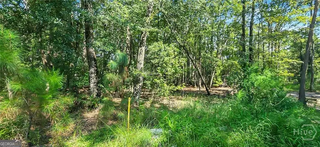 0 4th Street, Guyton, GA 31312 - #1