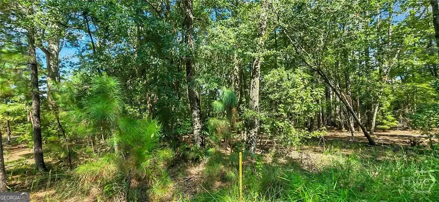 0 4th Street, Guyton, GA 31312 - #3