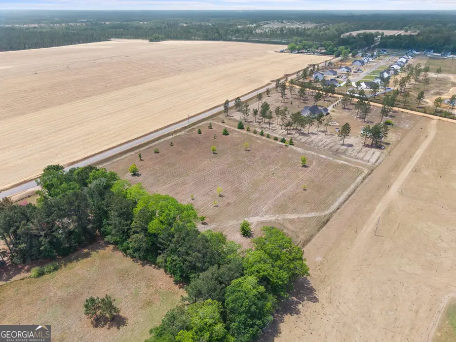 0 Clito Road, Statesboro, GA 30461 - #3