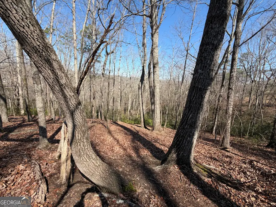 0 Tanager Trail, Alto, GA 30510 - #2