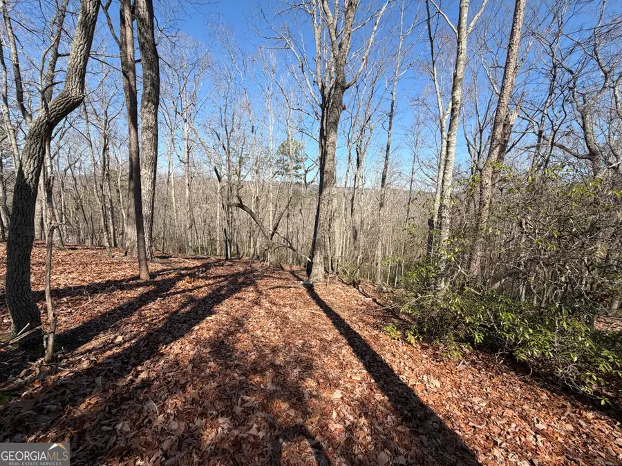 0 Tanager Trail, Alto, GA 30510 - #3