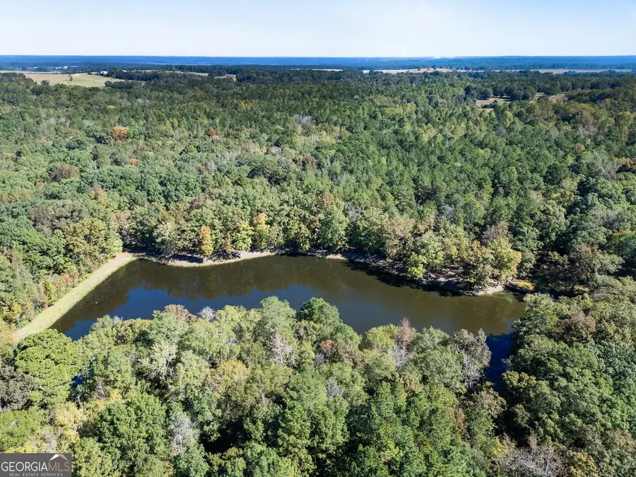 0 Ga Highway 142 #A-1 (N-1), Shady Dale, GA 31085 - #3