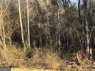 0 Hwy 135, Uvalda, GA 30473 - #1