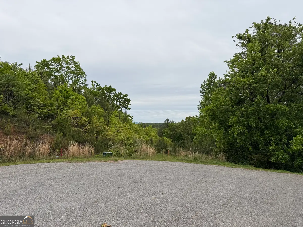 0 High River Crossing, Ellijay, GA 30540 - #1