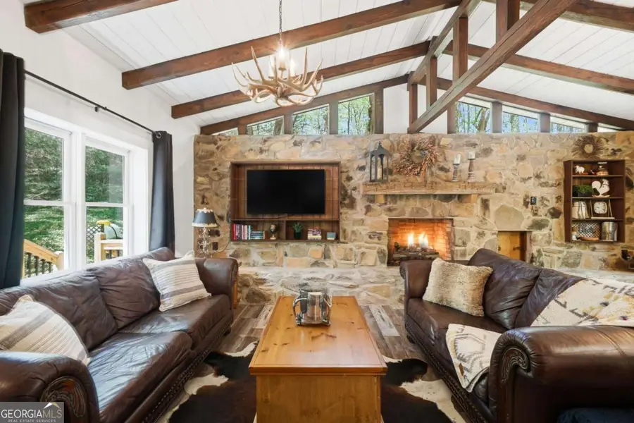10758 Chatsworth Highway, Ellijay, GA 30540 - #3