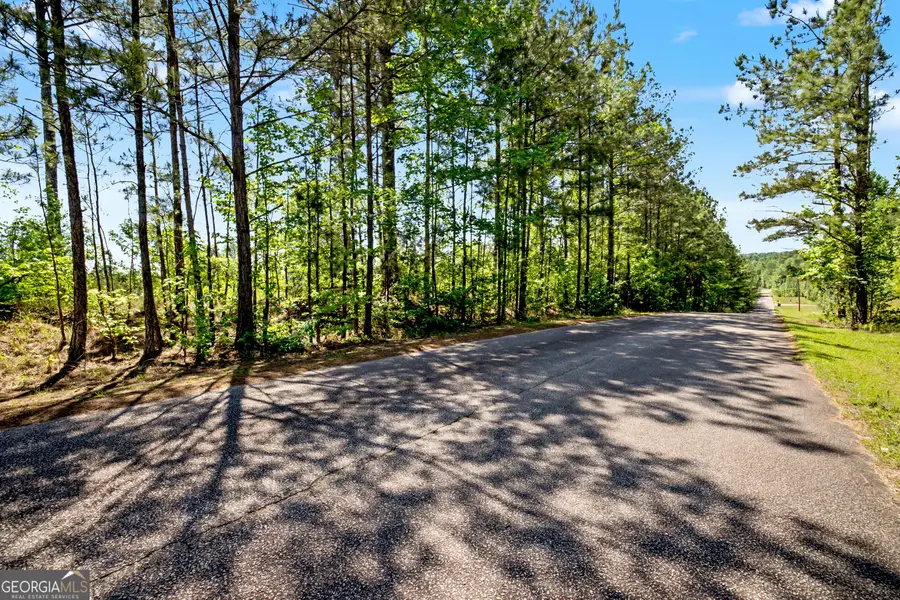 LOT 4A, 4B Windwood Estate Drive, Lanett, AL 36863 - #2