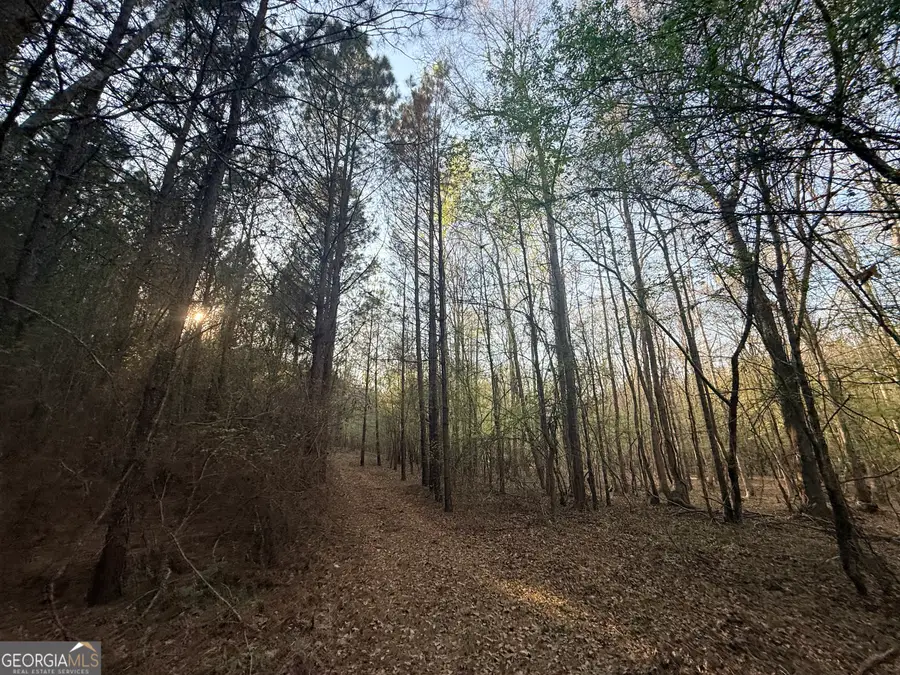 8 Hollis Norman Road, Tignall, GA 30668 - #2