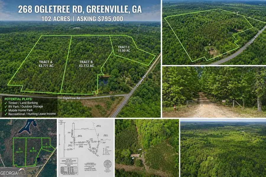 268 Ogletree Road, Greenville, GA 30222 - #3