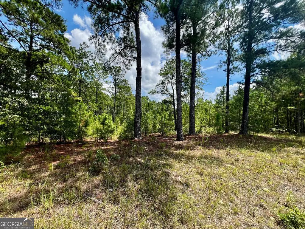 0 Dublin Eastman Road, Dexter, GA 31019 - #1